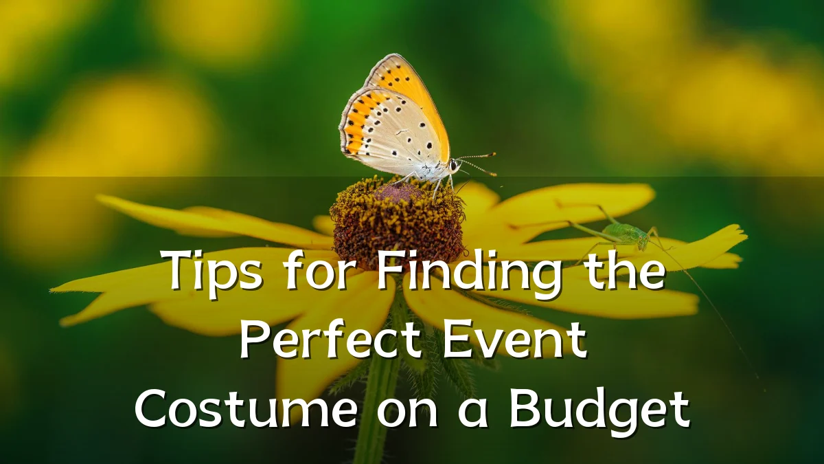 Tips for Finding the Perfect Event Costume on a Budget